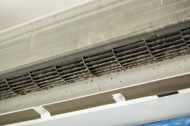 Best Residential Air Duct Cleaning  in Sam Rayburn, TX